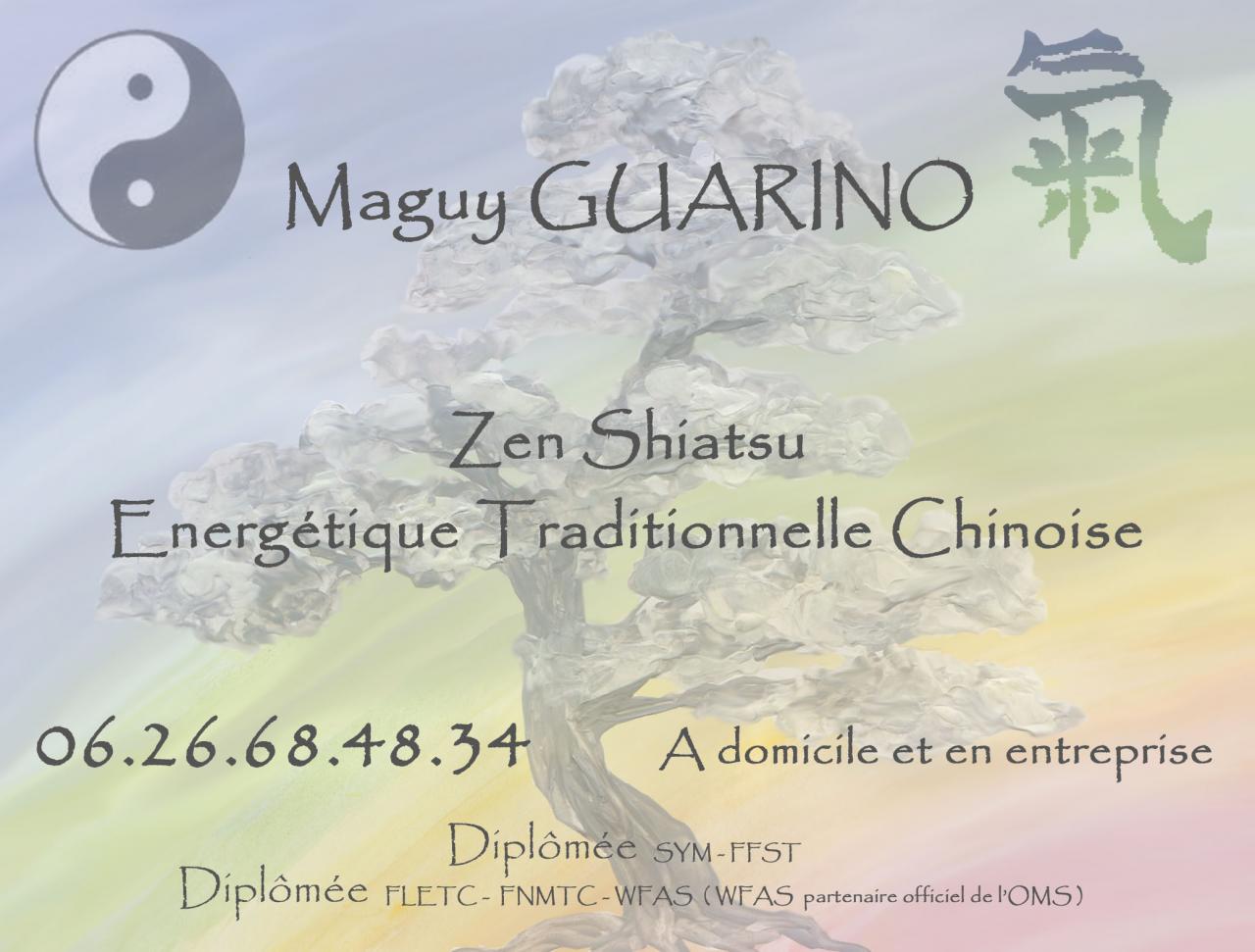 carte de visite shiatzu 2013