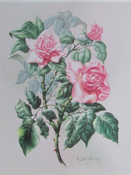 Bouquet roses 3d