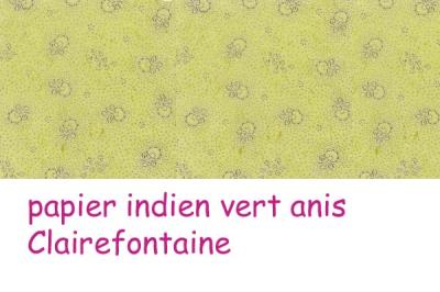 01 papier indien vert anis Clairefontaine